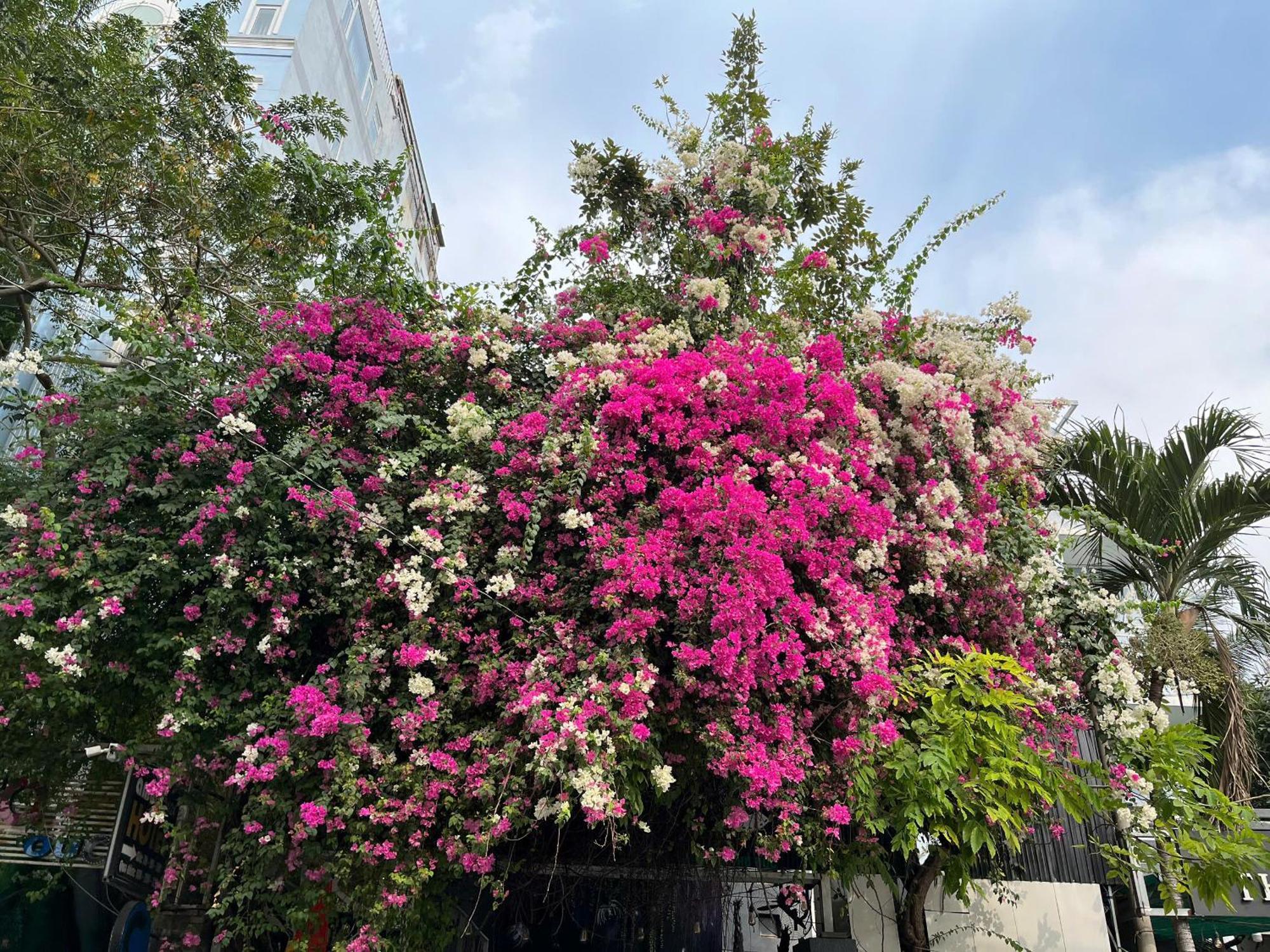 Hotel Nguyen Anh Thành Pho Ho Chí Minh Esterno foto